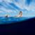 MorganMaassen_StephGilmore_Framegrab_6