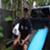 Koa-Rothman-THE-NEW-SURF-INDUSTRY-AND-MY-NEW-SPONSOR-W_xV_N7zV4Q-944x531-0m41s