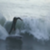 c8a87e7d51573f8b72d5ebe1b696915c