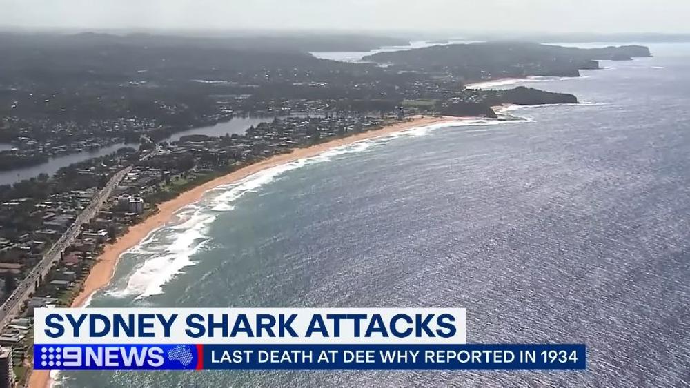 9-News-Australia-Dad-killed-by-large-shark-while-surfing-at-Sydney-beach-9-News-Australia-guPx0xMc6P8-853x480-3m53s