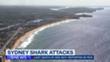 9-News-Australia-Dad-killed-by-large-shark-while-surfing-at-Sydney-beach-9-News-Australia-guPx0xMc6P8-853x480-3m53s