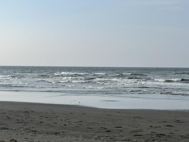 湘洋1
