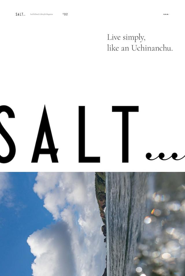 2024731salt3