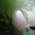 GoPro-Barrel-Skelton-Bay-