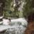 eisbach-mick-fanning-trademark-turn