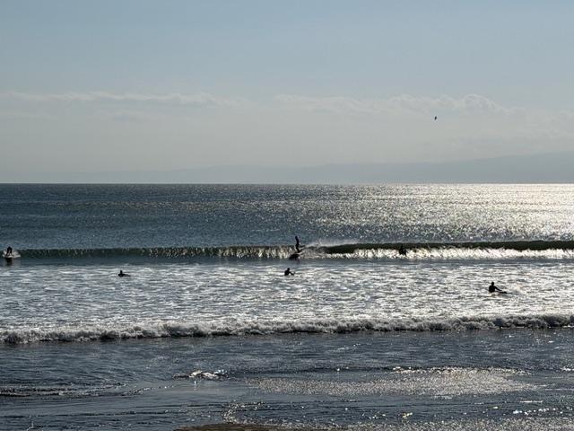 水族館正面付近0416