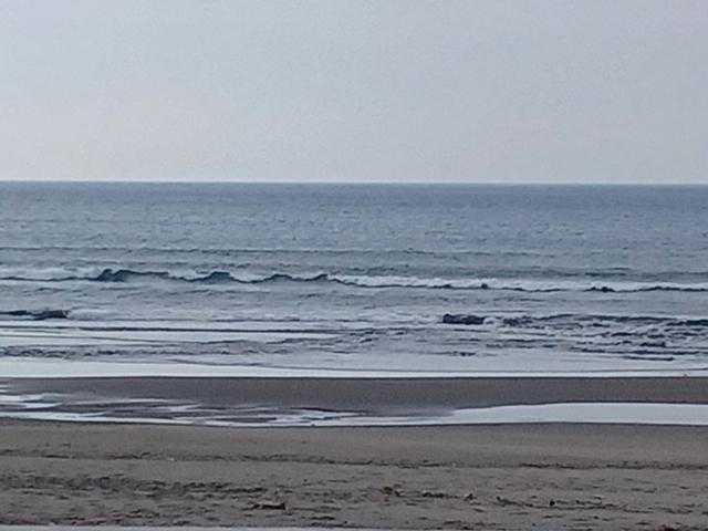 鹿島2