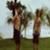 Josh-Kerr-and-Tyler-Warren-Twin-Fin