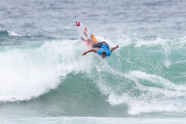 エフプラスコラム - カウリ・ヴァースト