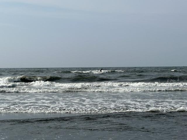 湘洋3