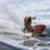 mainimage00