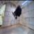 Tony-Hawk-Zero-G