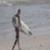 Mick-Fanning