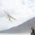 ONeill-New-Zealand