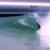 URBNSURF