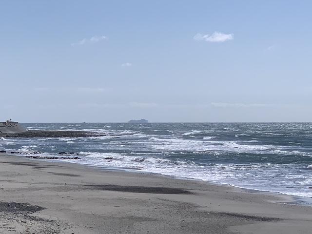 メロン3