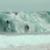 vlcsnap-2024-01-08-11h50m32s415