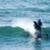 Dolphin-Attack