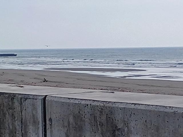 鹿島1