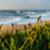 LineupNewcastle21Dunbar-6355
