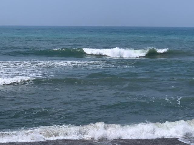 メロン1