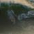 Nic-Von-Rupp-MOST-CROWDED-NAZARE-EVER