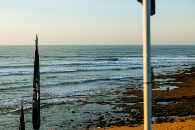 エフプラスコラム