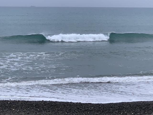 メロン1