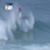 John-John-Florence-9-and-above