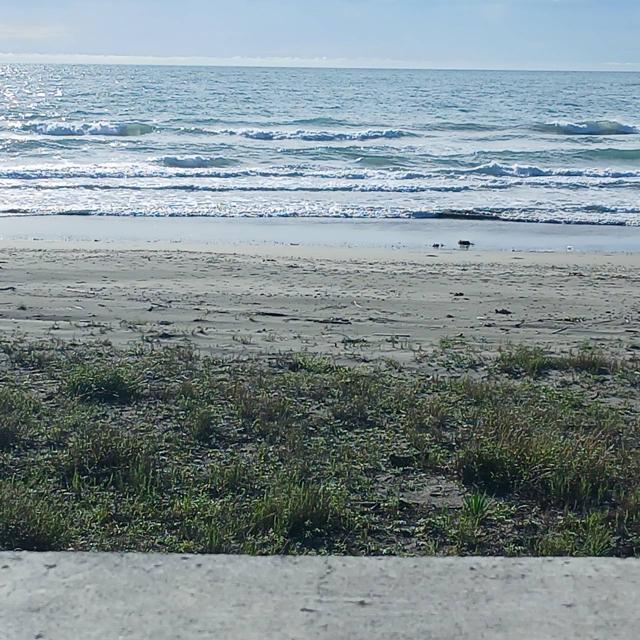 鹿島正面