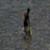 Sea-N-Surf-Bali-Gabriel-Medina-Surf-Ripping-at-Uluwatu-2024-QpE0QzLJ73w-1033x581-0m14s
