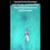 Drone-Shark-App