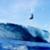 MorganMaassen_SoliBailey-5-300x158
