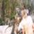 Rip-Curl-Women-Bali-1