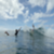 e16f92b7e03a059790ba2e7a3266b0a6