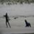 Albee-Layer-vs-Seal