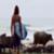 Asher-Pacey-Simeulue