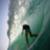 Taylor-Knox-Salina-Cruz