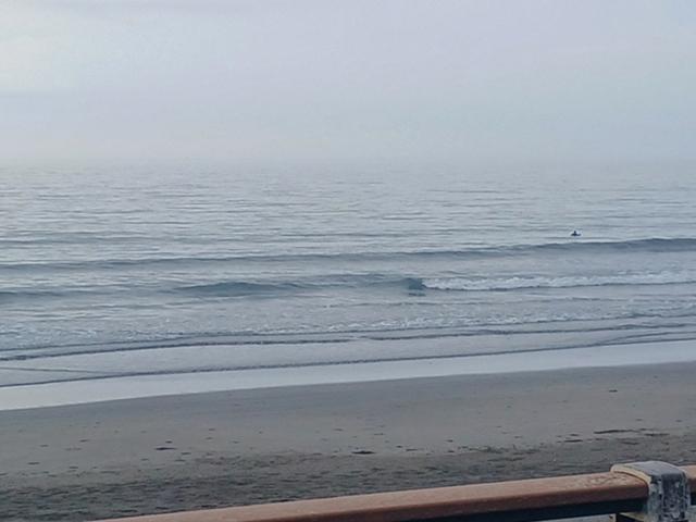 静波4