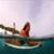 Caity-Griffin-Indo-Maldives-Mexico