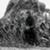 web-farias_r_0055_cc_BP