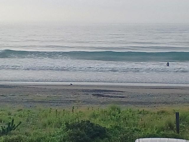 静波1