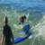 surfer-dog-charge