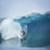 2016-Tahiti-John-John-Florence