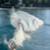 Lakey-Peterson-Is-this-the-BEST-WAVEPOOL-in-the-WORLD