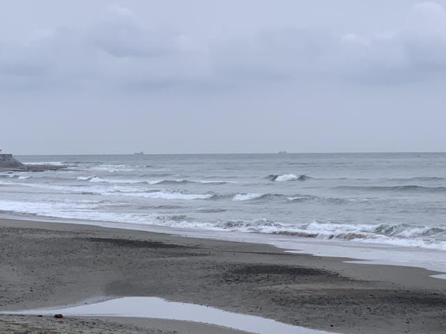 メロン3