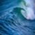 IMG_4266