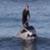 Brad-Jacobson-Surfing-in-costumes-for-Halloween-ecjJbAQ_mBU-944x531-2m25s