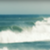 41c8caf2646e8ea77e7a88be5c0848ee