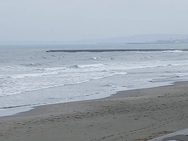静波5